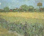 Vincent Van Gogh View of Arles with Irises in the Foreground (nn04) USA oil painting artist